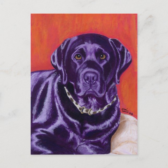 Black Labrador Thinking Painting Postcard (Front)