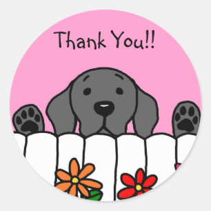 Black Labrador watching you Classic Round Sticker