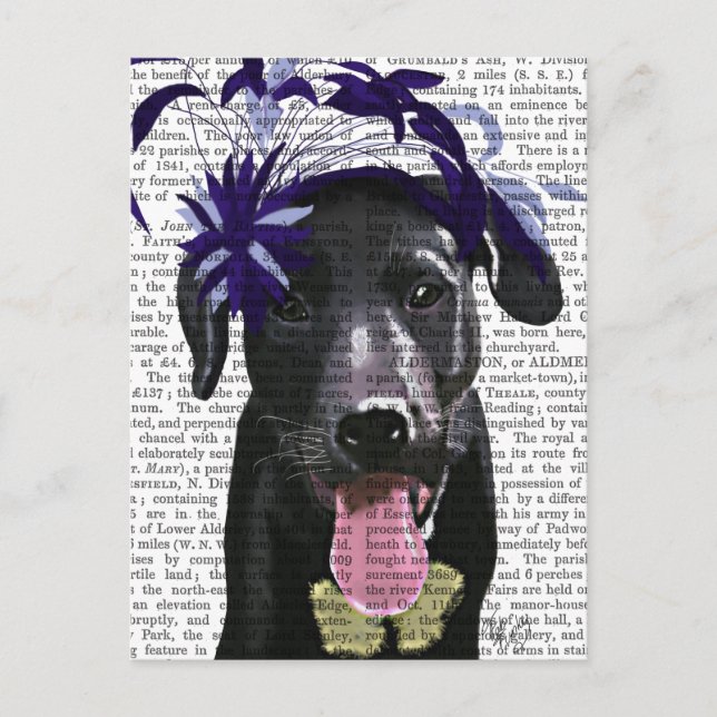 Black Labrador With Blue Fascinator Postcard (Front)