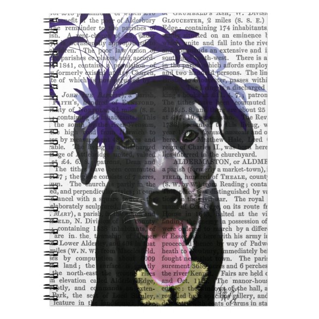Black Labrador With Blue Fascinator Spiral Notebook (Front)