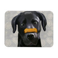 Black Labrador With Bone on Nose 2