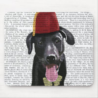 Black Labrador With Fez
