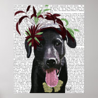 Black Labrador With Green Fascinator