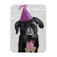 Black Labrador With Party Hat