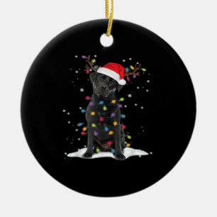 Black Labrador Xmas Dog Christmas Tree Light Class Ceramic Tree Decoration