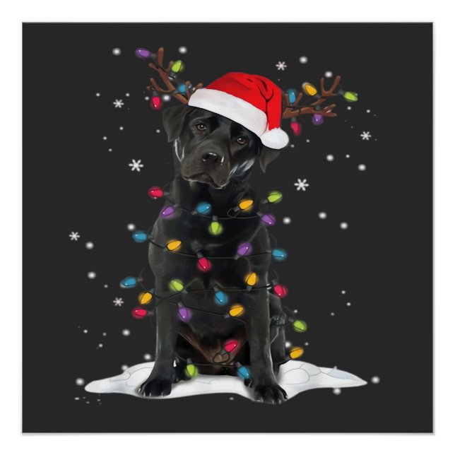 Black Labrador Xmas Dog Christmas Tree Light Class Poster (Front)