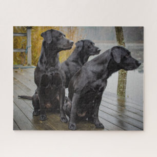 Black Labs on a dock Jigsaw Puzzle