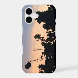 Black Lace Sunset