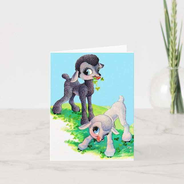 black lamb white lamb note card (Front)