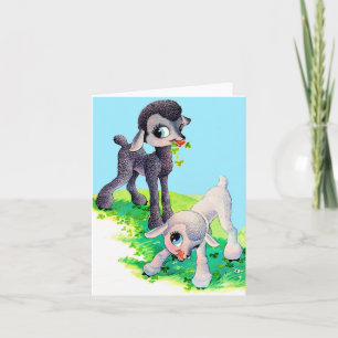black lamb white lamb note card