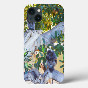 Black Langur Monkeys Eating, iPhone 13 Case