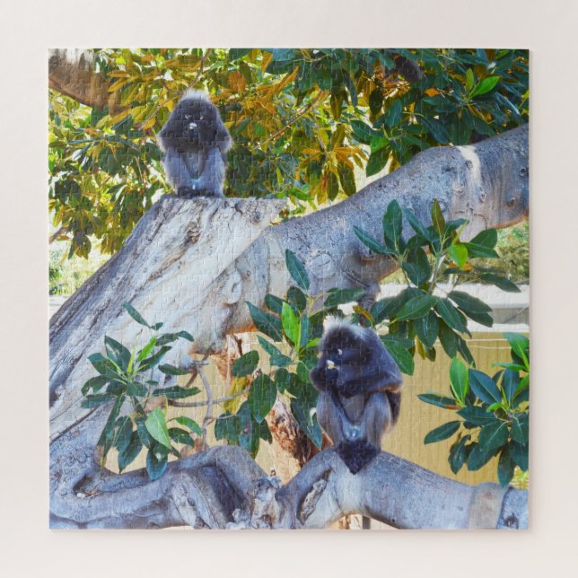 Black Langur Monkeys Eating, Jigsaw Puzzle (Vertical)