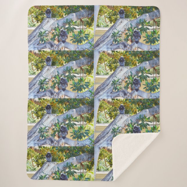 Black Langur Monkeys Eating, Lge Sherpa Blanket (Front)