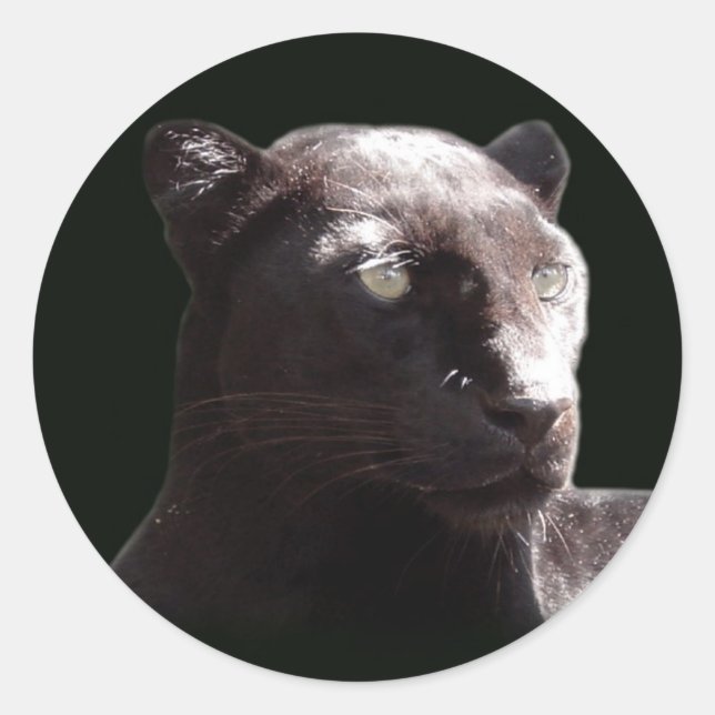 Black Leopard Portrait Classic Round Sticker (Front)