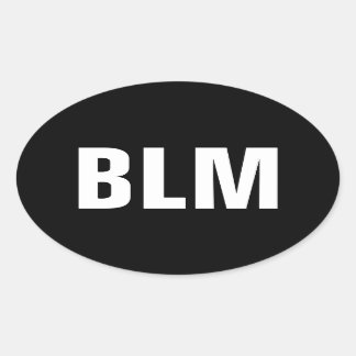 Black Lives Matter Oval Sticker