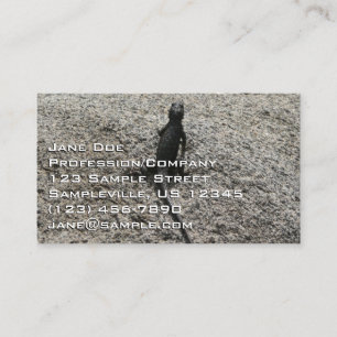 Black Lizard Business Card