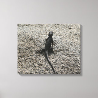Black Lizard Canvas Print