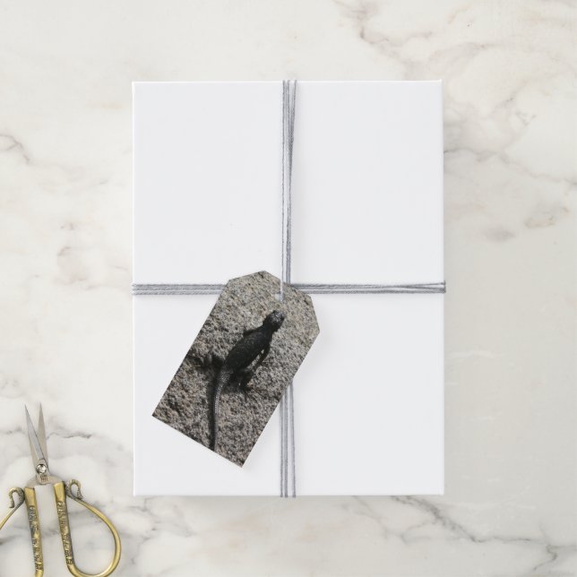 Black Lizard Gift Tags (With Twine)