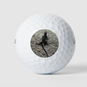 Black Lizard Golf Balls