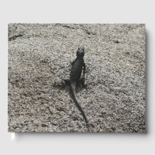 Black Lizard Guest Book