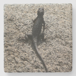 Black Lizard Stone Coaster
