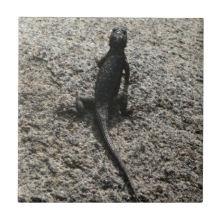 Black Lizard Tile