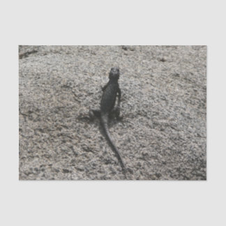 Black Lizard Tissue Paper