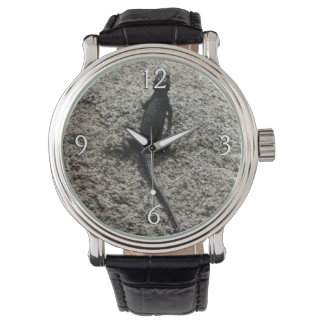Black Lizard Watch