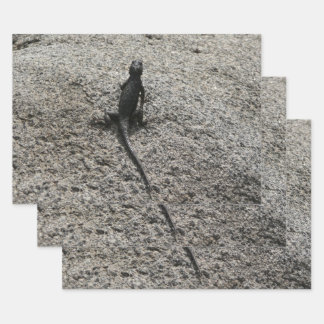 Black Lizard Wrapping Paper Sheet