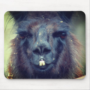 Black Llama Face Animal Mouse Pad