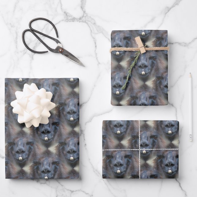 Black Llama Face Nature Pattern  Wrapping Paper Sheet (Front)