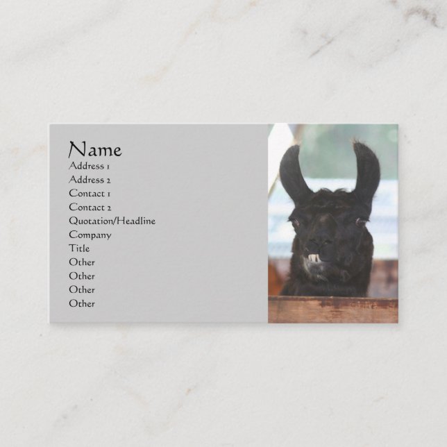 Black Llama Farm Animal Business Card (Front)