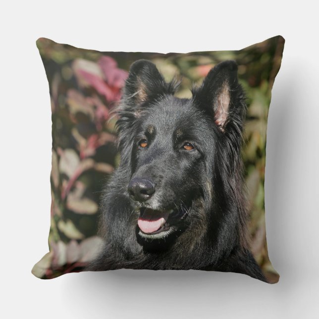 Black Long Haired German Shepherd Cushion (Front)