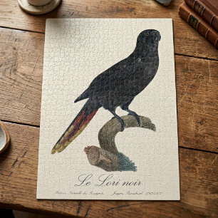 Black Lory or Red-Quilled Lory, Chalcopsitta atra Jigsaw Puzzle