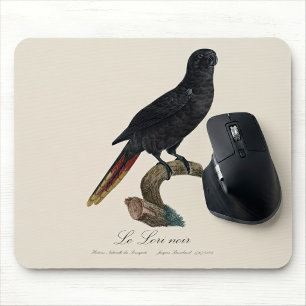 Black Lory or Red-Quilled Lory, Chalcopsitta atra Mouse Pad
