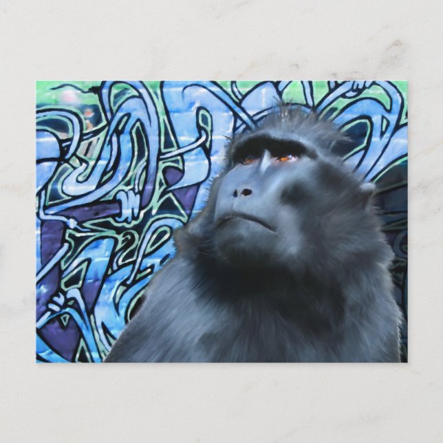 Black Macaque Post Card (Front)