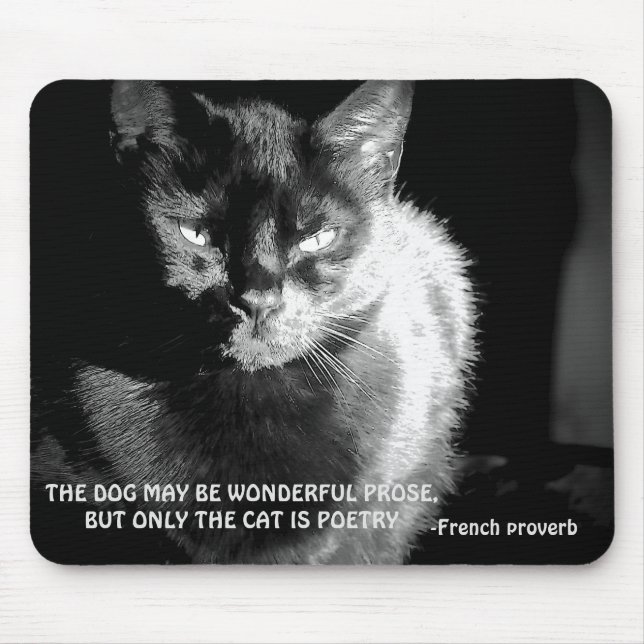 Black Maine Coon Cat with French Poverb Mouse Pad (Front)