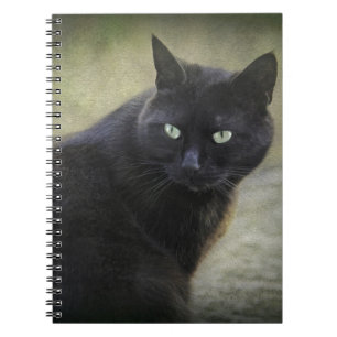 Black male cat with green eyes spiral notebook