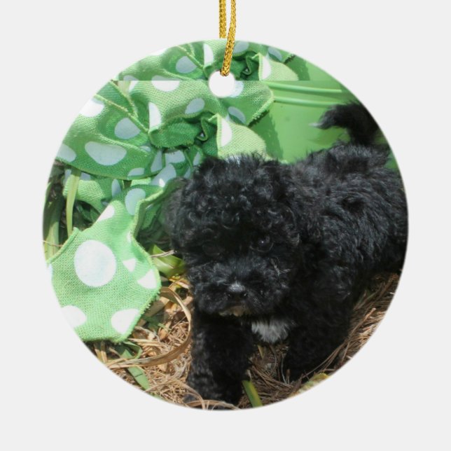 Black Maltipoo Puppy Ceramic Tree Decoration (Front)