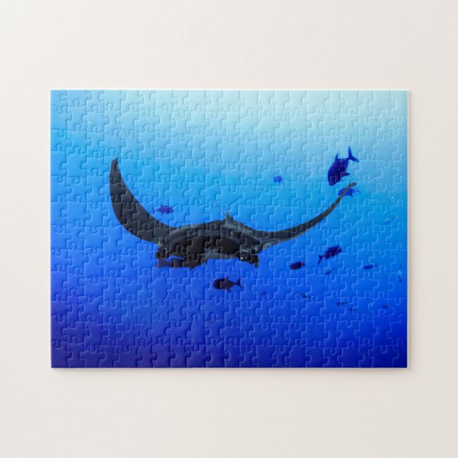 Black Manta Sting Ray Photo Puzzle (Horizontal)