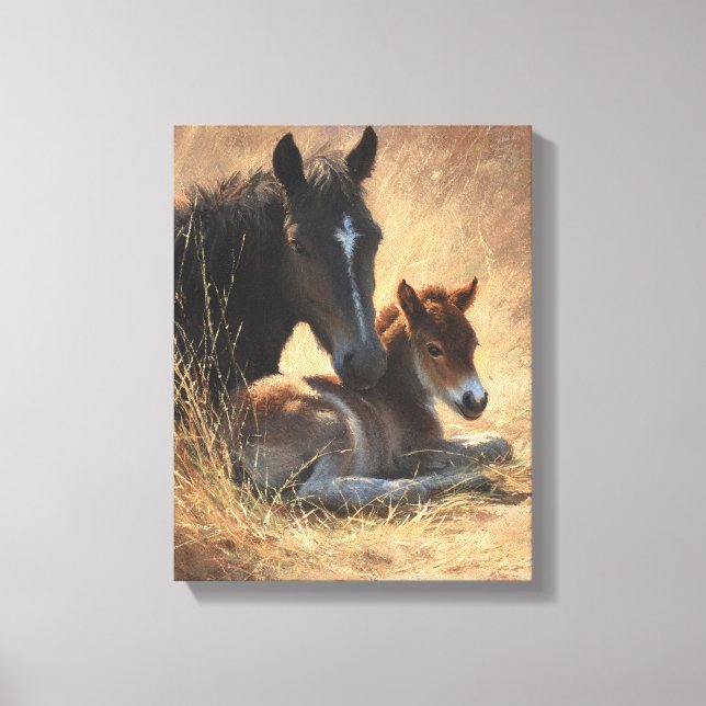 Black Mare with Foal Rustic Painting Canvas Print (Front)