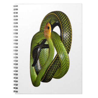 Black-margined Ratsnake or Green rat snake Spiral Notebook