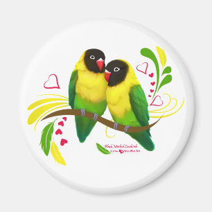 Black Masked Lovebirds Magnet