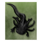 Black Melanoid Axolotl Art