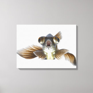 Black moor goldfish (Carassius auratus) 2 Canvas Print