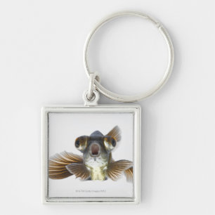 Black moor goldfish (Carassius auratus) Key Ring