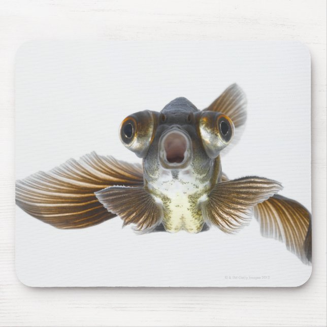 Black moor goldfish (Carassius auratus) Mouse Pad (Front)