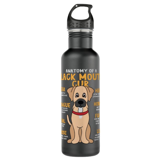 Black Mouth Cur Anatomy Funny Dog Mum Dad Cute Gif 710 Ml Water Bottle (Front)