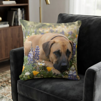 Black Mouth Cur Dog Cushion