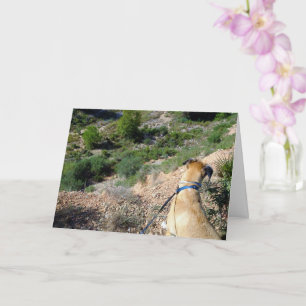 Black Mouth Cur Dog Portrait Card